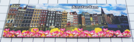 10 stuks koelkastmagneet Amsterdam  grachtenpanen met tulpen 22.010