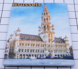 10 stuks koelkastmagneet Brussels N_BX009