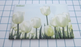 10 stuks  koelkastmagneet Holland   MAC:20.122 witte tulpen