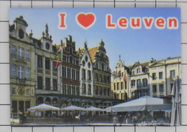 10 stuks koelkastmagneten Leuven N_BLE_1.004
