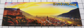 10 stuks koelkastmagneet Heidelberg P_DH0019