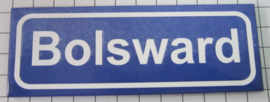 10 stuks koelkastmagneet Bolsward P_FR6.0001