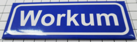 10 stuks koelkastmagneet Workum P_FR14.0001