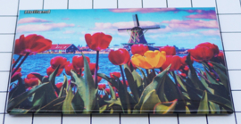 10 stuks koelkastmagneet  Holland 20.250