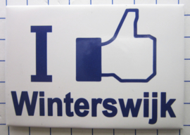 10 stuks koelkastmagneet I like Winterswijk N_GE4.001