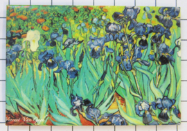 10 stuks koelkastmagneet irissen Van Gogh MAC:20.411