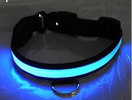 Honden halsband LED verlichting S/M/L/XL *7 kleuren*