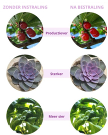 LED kweeklamp kweek groei bloei lamp planten + timer *4x arm*