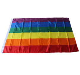 Regenboog LGBTQ vlag pride rainbow flag vlaggen XL 90x150cm GROOT