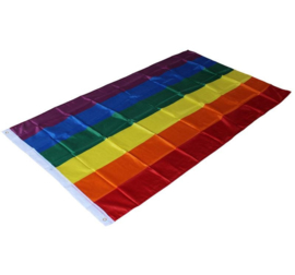 Regenboog LGBTQ vlag pride rainbow flag vlaggen XL 90x150cm GROOT