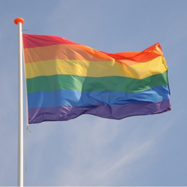 Regenboog LGBTQ vlag gay pride LGBT rainbow flag vlaggen XL *groot*