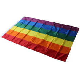 Regenboog LGBTQ vlag pride rainbow flag vlaggen XL 90x150cm GROOT