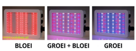 Kweeklamp groeilamp bloeilamp LED 1000 watt FULL SPEC