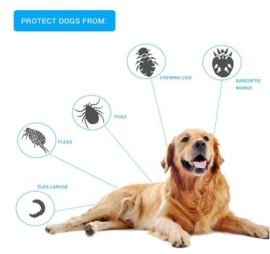 Vlooienband vlooien teken band hond honden tekenband 8mnd