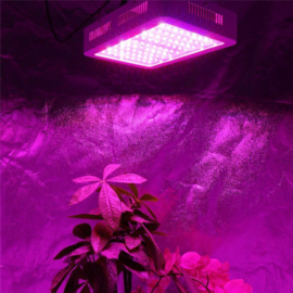 Kweeklamp groeilamp bloeilamp LED 600 watt FULL SPEC