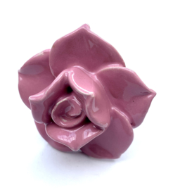 Kastknopje roze Roos