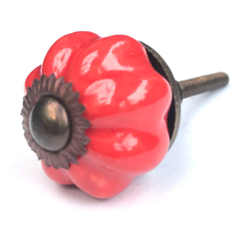 Kastknopje rood bloem met messing kroon