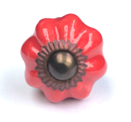 Kastknopje rood bloem met messing kroon