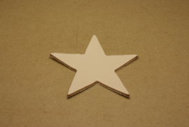 Label ster (5 stuks)