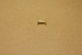 Boekschroef goud 10mm (10)