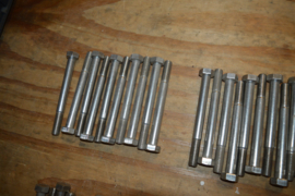 RVS bouten lengte 120/diameter M12