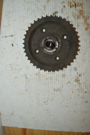 TWN ketting tandwiel 40 tanden