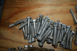 RVS Bouten lengte 50/60/70 mm/M 12 diameter