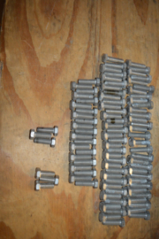 RVS Bouten lengte 20/30/40 mm/M12 diameter