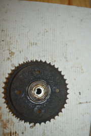 TWN ketting tandwiel 40 tanden