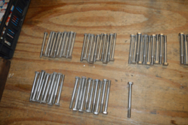 RVS bouten lengte 120/diameter M12