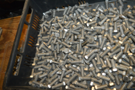 RVS Bouten lengte 20/30/40 mm/M12 diameter