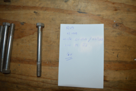 RVS bouten lengte 120/diameter M12
