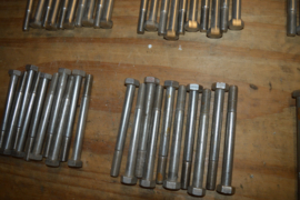 RVS bouten lengte 120/diameter M12