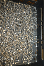 RVS Bouten lengte 20/30/40 mm/M12 diameter