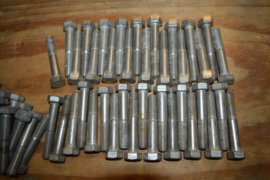 RVS Bouten lengte 50/60/70 mm/M 12 diameter