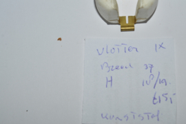 Vlotter kunststof breed 37 mm mm