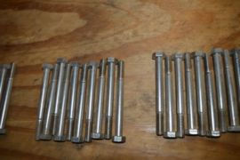 RVS bouten lengte 120/diameter M12