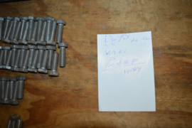 RVS Bouten lengte 20/30/40 mm/M12 diameter