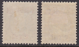 NVPH   102-103 Hulpuitgifte 1919 Ongebruikt  Cataloguswaarde 70.00  E-5282