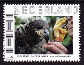Persoonlijke Postzegel: Zeearend Postfris E-0960