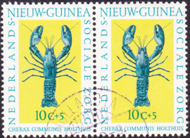 Plaatfout Ned. Nieuw Guinea 79 PM in paar Gestempeld
