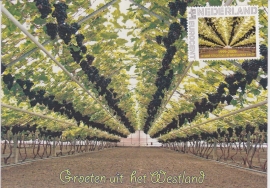 Persoonlijke postzegels  'groeten uit het Westland'' op bijbehorende kaart A-0399