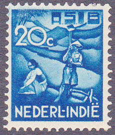 Plaatfout Ned. Indie 234 P Ongebruikt E-7736