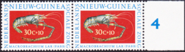 Plaatfout Ned. Nieuw Guinea 81 PM in paar Postfris