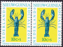 Plaatfout Ned. Nieuw Guinea 79 PM in paar Postfris