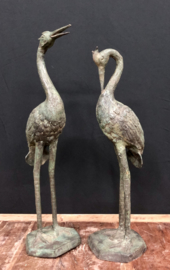 Kraanvogel kijk omlaag Large model  brons legering 57 cm lang