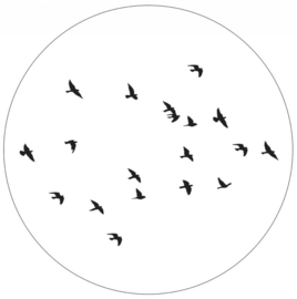 Muurcirkel Birds wit