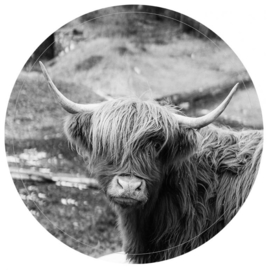 Muurcirkel Highlander
