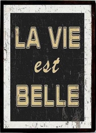 Poster (incl. lijst)