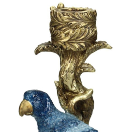 Kandelaar bird blue